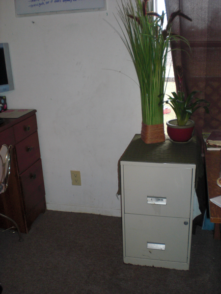In the living room, easily accessible, purged and organized inside, double duty as end table.