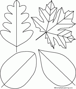 Fall Leaf Template From Enchanted Learning