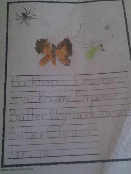 LP-Hackberry-Butterfly-Notebooking-Page