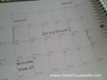 well-planned-day-spring-break