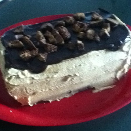 Not a very good picture of my delicious cake but was quite tasty!