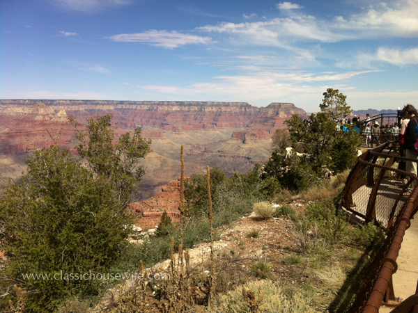 The view at Mather's Point. Notice the guard rails. Some points are railed, most of the canyon is not. 