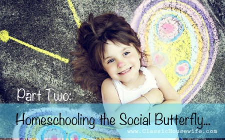 Homeschooling Extrovert Social Butterfly Part Two