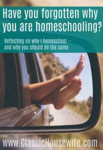 Reflecting on Why I Homeschool, and Why You Should Do The Same