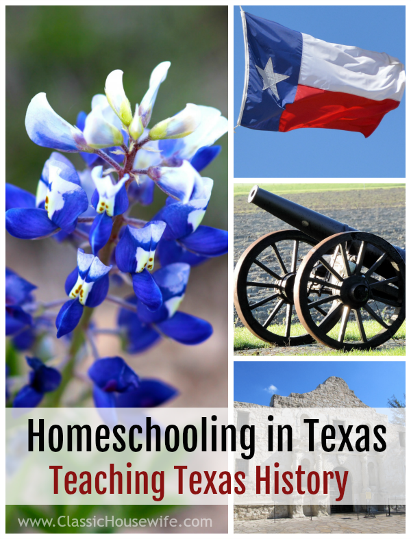 Homeschooling in Texas - Teaching Texas History