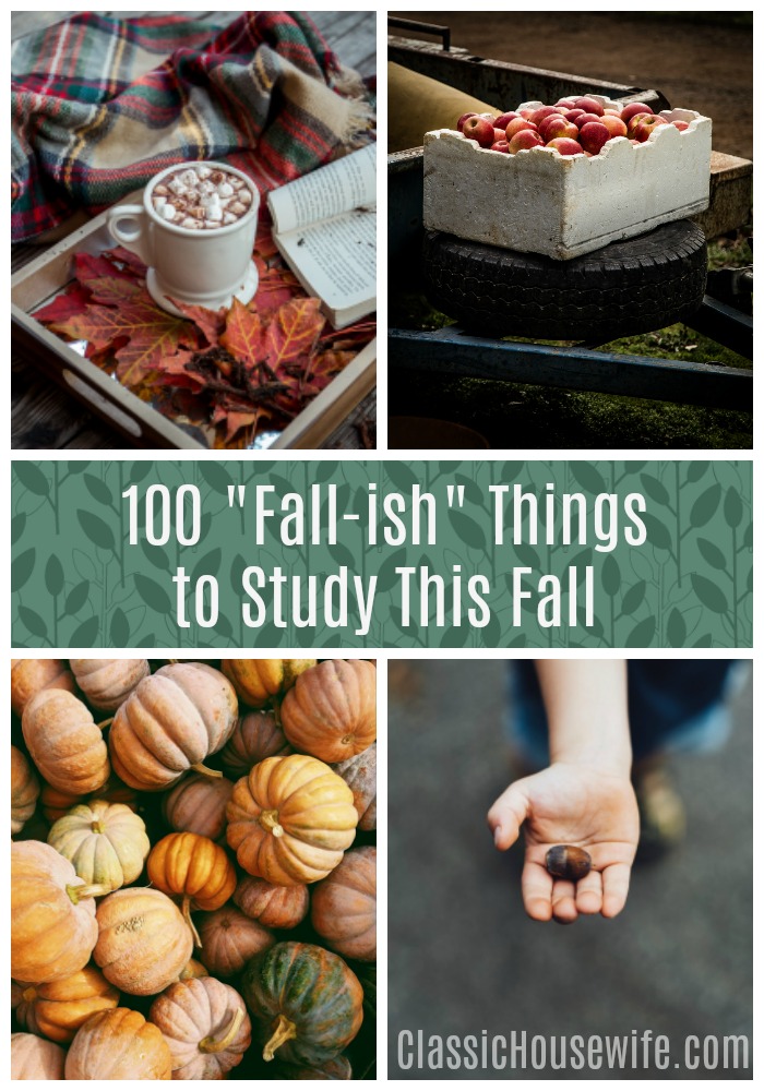 100 Fall Things to Study This Fall