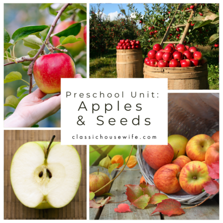 preschool apples